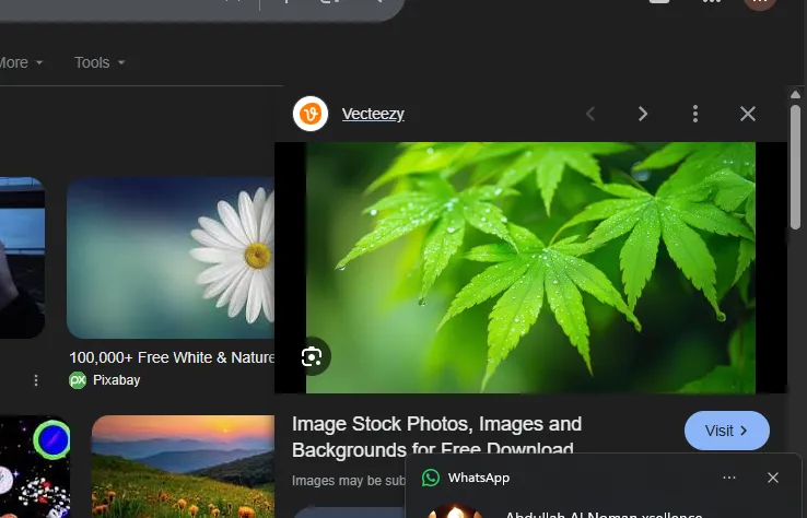 [1234] Applied Nutrition BCAA Amino Hydrate (Fruit Burst, 32)